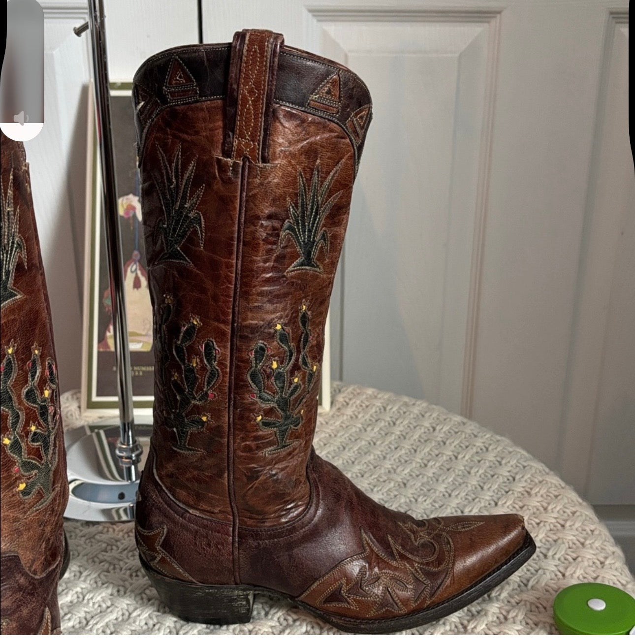 Old Gringo Vintage Cactus Boots