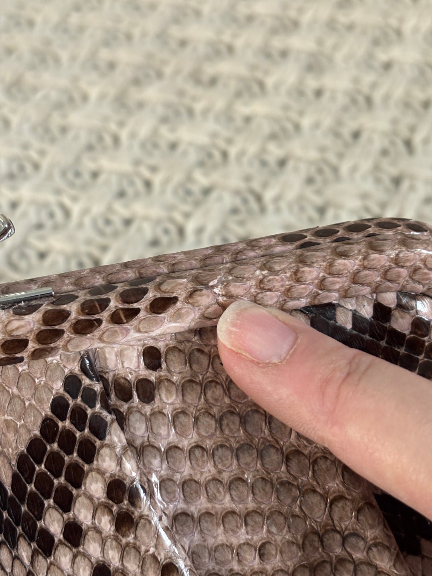 Very Rare Vintage Coach Sample Python Clutch, Made in Italy
