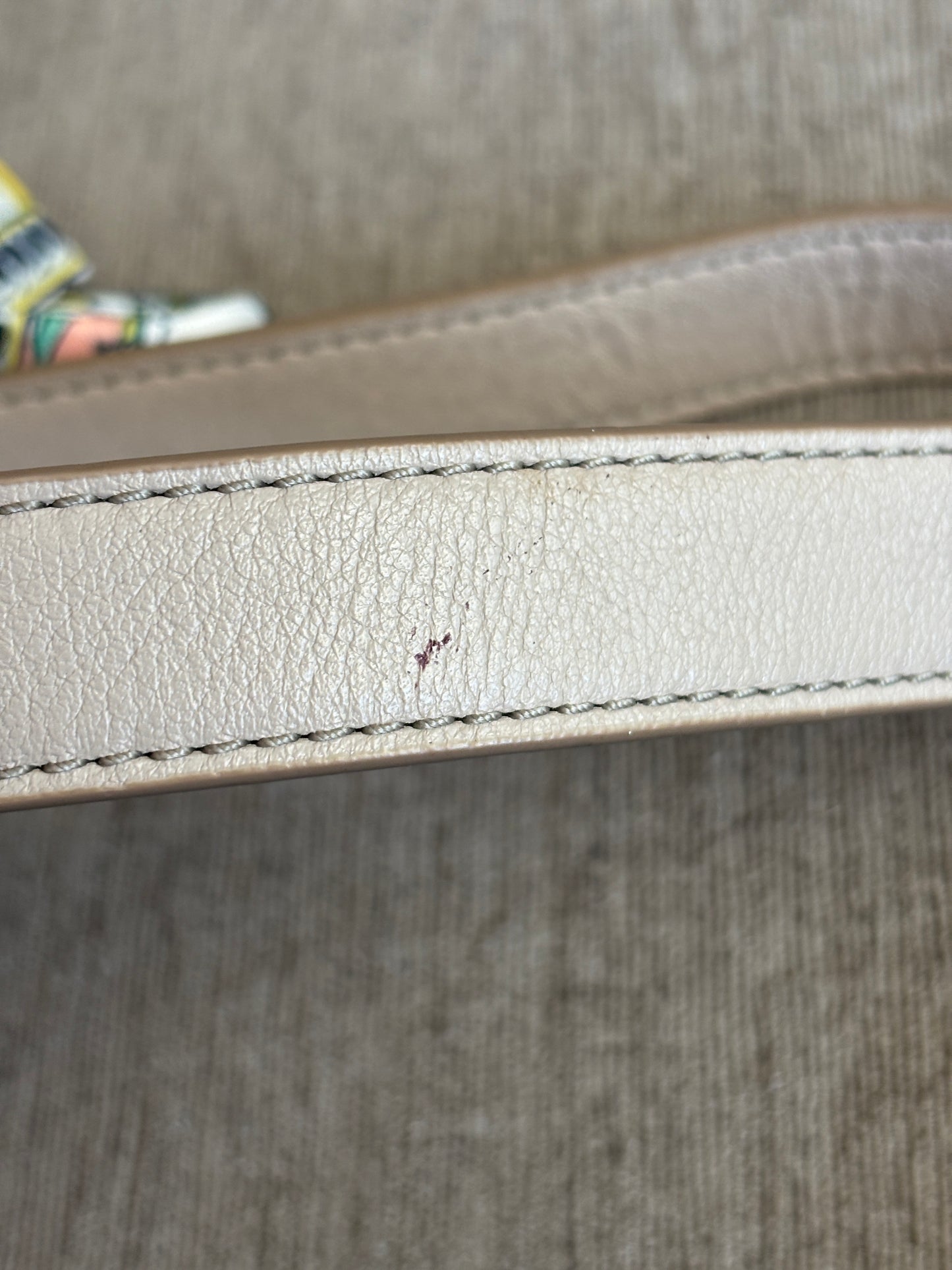 EUC Fossil Taupe Bag with Removable Long Strap